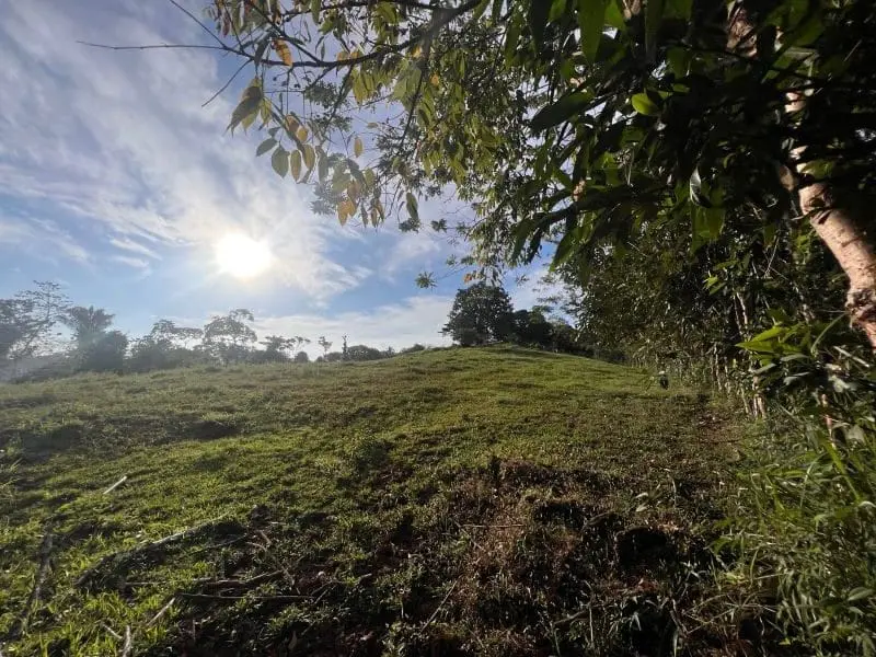 Montezuma Scenic Lots photo 5